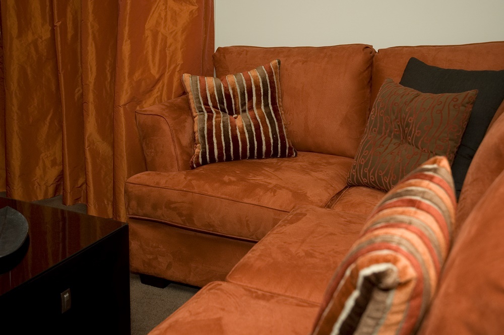 Terra Vive Gallery Image 9